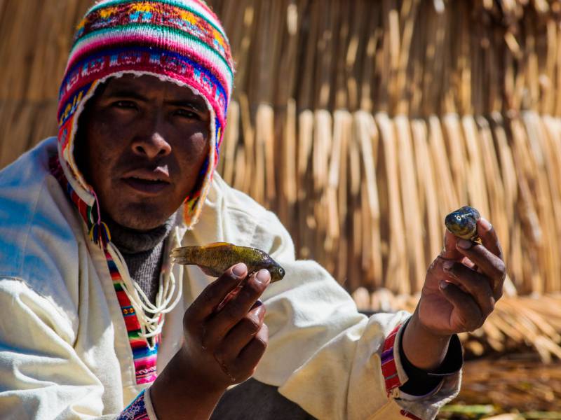 Tour Isla de los Uros y Taquile Full Day (Lago Titicaca)